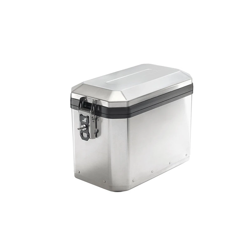 Valige Laterali Valigia Dritta Mytech Model-x Raw 48 Lt Argento 3 Valige Laterali Valigia Dritta Mytech Model-x Raw 48 Lt Argento