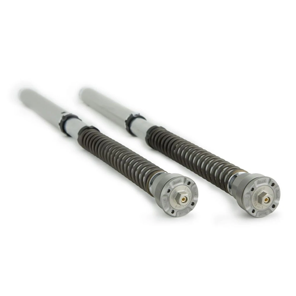 Cartucce Cartuccia Fork Ohlins 30mm Ducati 1199 Panigale 4 Cartucce Cartuccia Fork Ohlins 30mm Ducati 1199 Panigale - immagine 2