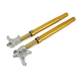 Forcelle Forcella Ohlins Rt 43 Nix Oro Ducati 959 Panigale