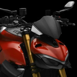 Cupolini Rizoma Cupolino Carbonio Ducati Streetfighter V4 -Vendite Givi zdm149k 2